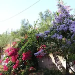 Manolia ترابيزاكي
