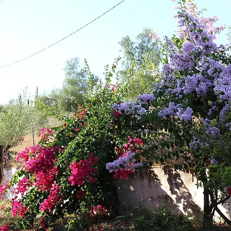 Manolia Trapezaki (Kefalonia)