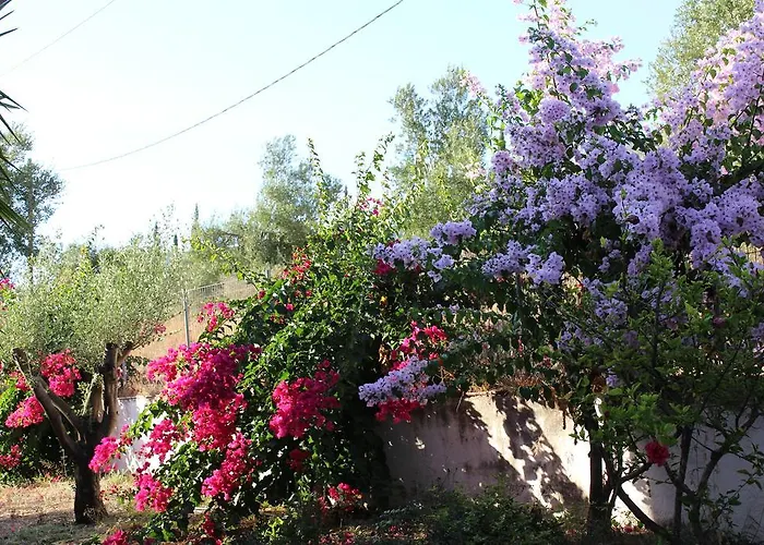 Manolia Трапезаки